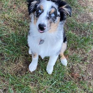 Meet your Posher, Brooke